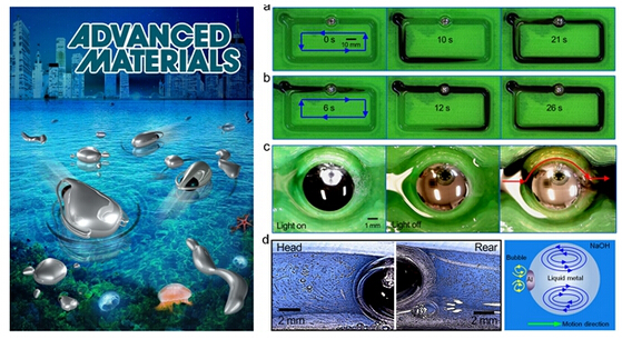 自主型液态金属机器所展示的人工软体动物、实物马达及其驱动流体情形