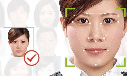 人脸识别,识别系统,人工检索