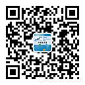 中国（成都）电子信息博览会,电子信息产业