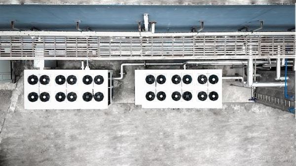 菌菇,系统,新技术,控制,解决方案