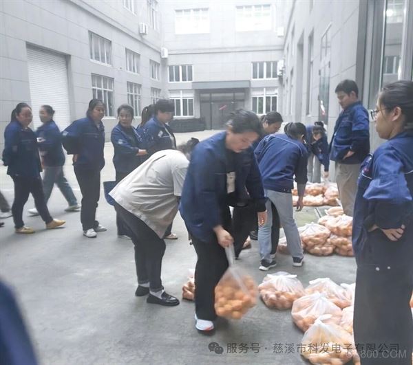 科发电子,,秋日