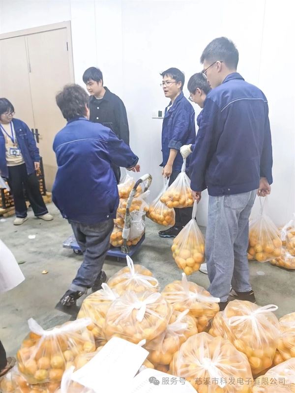 科发电子,,秋日