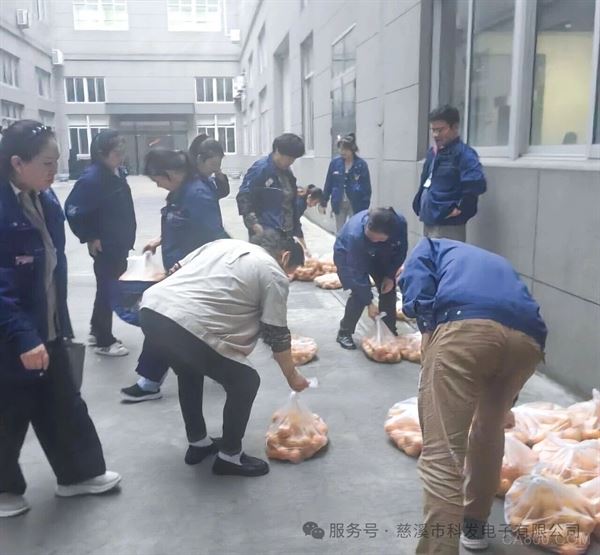 科发电子,,秋日