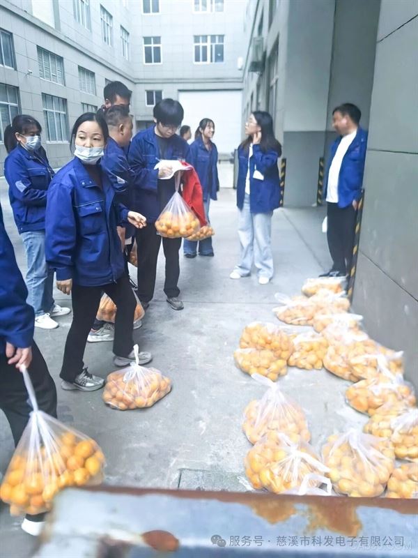 科发电子,,秋日