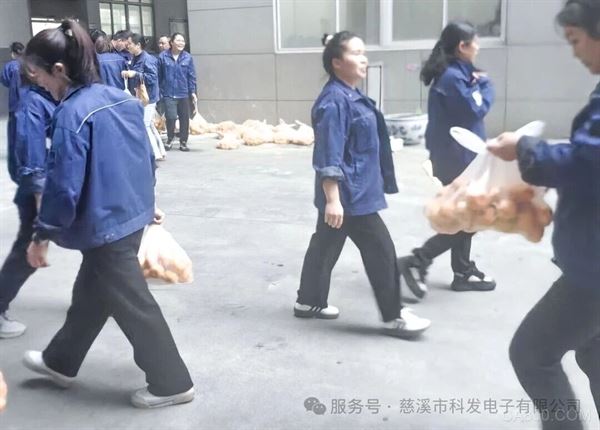 科发电子,,秋日