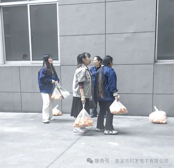 科发电子,,秋日