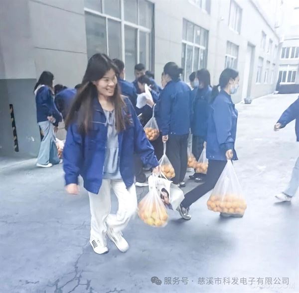 科发电子,,秋日