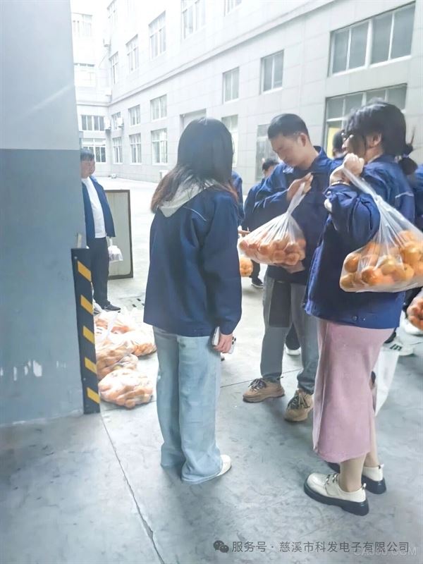 科发电子,,秋日