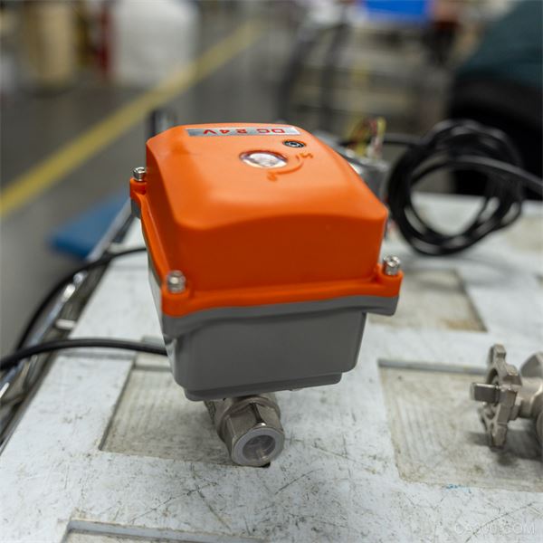 DSC01101 (Large).png