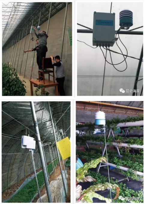 农业大棚环境监测系统应用方案