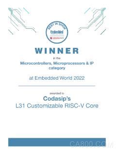 Codasip的可定制L31 RISC-V内核荣获Embedded World展会最佳产品大奖