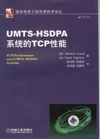 UMTS-HSDPA系统的TCP性能