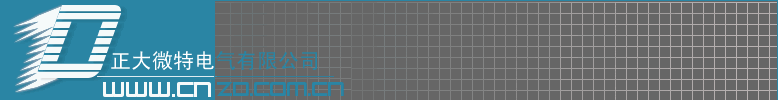 正大微特电气有限公司