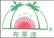 衡水布莱迪仪表有限公司