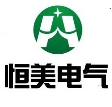 乐清市恒美电气有限公司