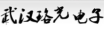 武汉珞光电子有限公司