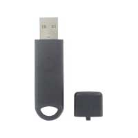 DW-USB-LITE型U盘小型温度数据记录仪
