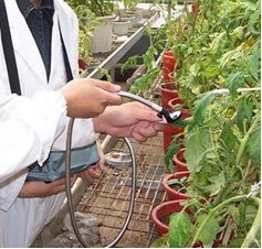 便携式植物营养测定仪