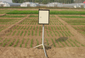 GPRS土壤墒情监测系统