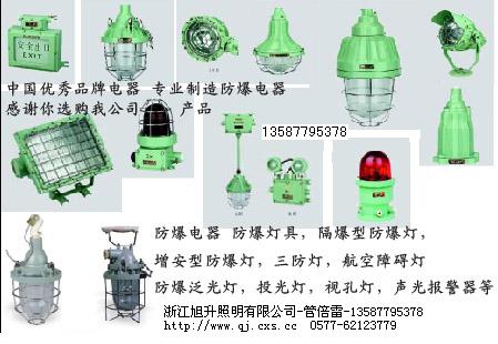 CBKD-B系列隔爆型防爆视孔灯(IIB)