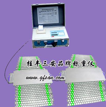便携式汽车称重仪