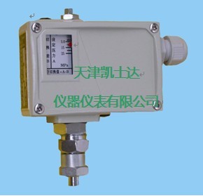 PKG型压力控制器/PKG0.6A1M/PKG0.6A2M/PKG0.6B1M/PKG0.6B2M/PKG0.4A1M/PKG0.4A2M/PKG1.0A1M