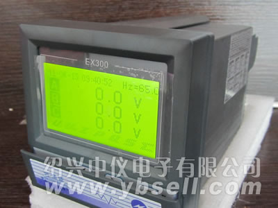 ZYW-EX300电压记录仪