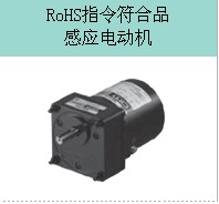 RoHS指令符合品感应电动机