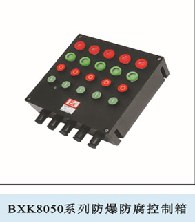 防爆控制箱，防爆配电箱，BXK8050系列防爆防腐控制箱