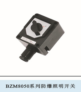 BZM8050系列防爆防腐照明开关