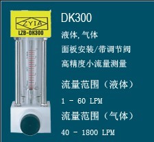 LZB-DK300玻璃转子流量计