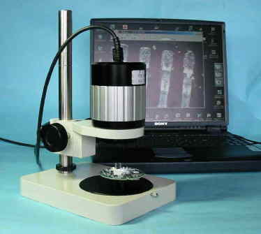 数码摄像显微镜 型号:80M205015