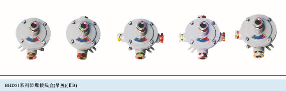 BDH防爆接线盒（吊盖）（ⅡB、e）