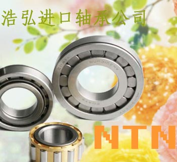 轴承名称 NTN618/1 轴承