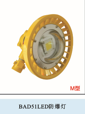 BAD51LED防爆灯(M型)