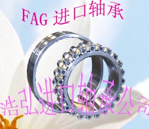 FAG深沟球轴承