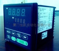 日本RKC  REX-P96可程序温度控制器