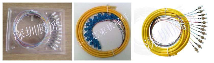 SC12芯束状尾纤，FC12芯束状尾纤，SC12芯带状尾纤，FC12芯带状尾纤