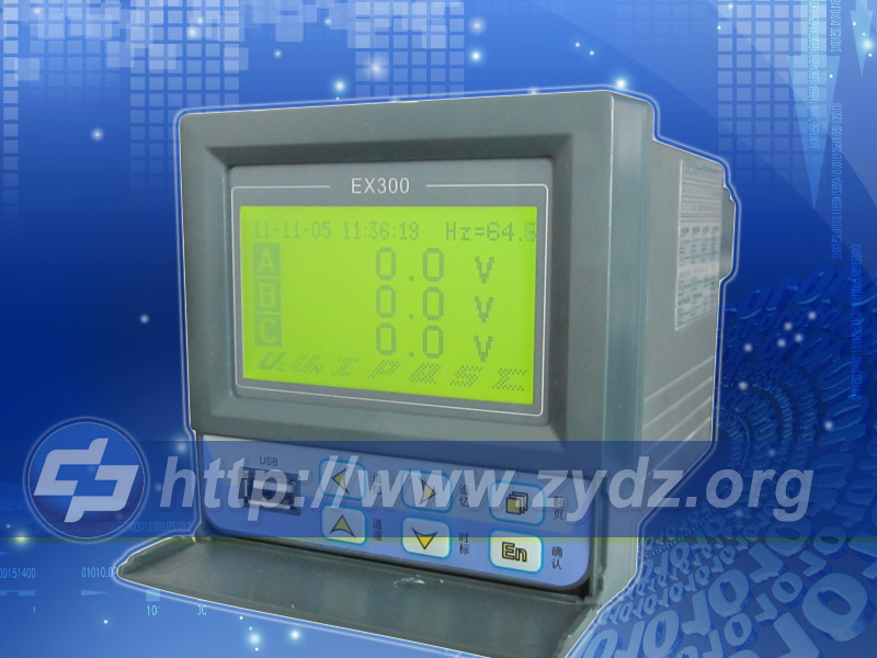 ZYW-EX300三相电量记录仪