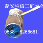 YHY60单体柱数显压力表