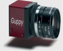AVT工业相机GUPPY系列