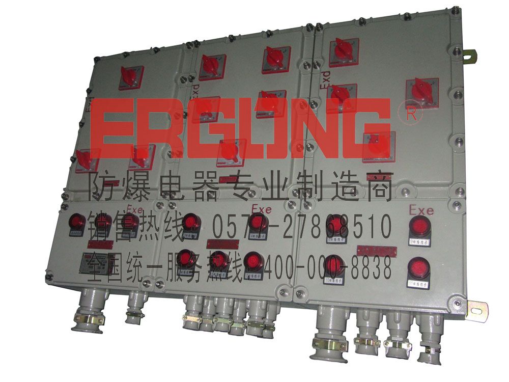 防爆配电箱（内装小型断路器）