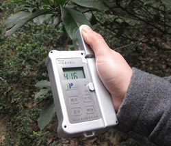 手持叶绿素仪分析灌浆期叶绿素含量变化