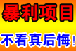 智能防盗报警网络摄象机，防狡猾之小偷，先知先觉，铁壁联防