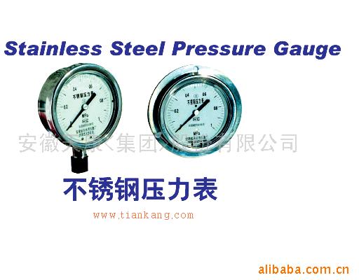 YB系列不锈钢压力表
