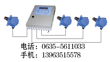 想知道价格二氧化硫漏气报警器RBT-6000