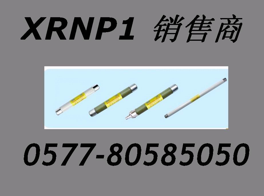 XRNP1-10KV,XRNP1高分熔断器