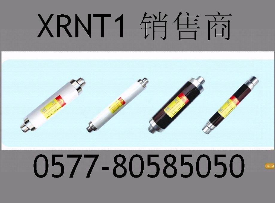 XRNT1-10KV,XRNT1浙江高分能熔断器