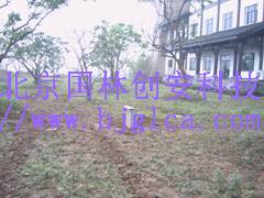 埋地泄漏电子围栏报警系统GL-D100