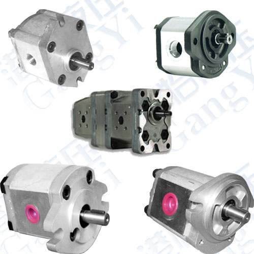 Gear Pumps Series: